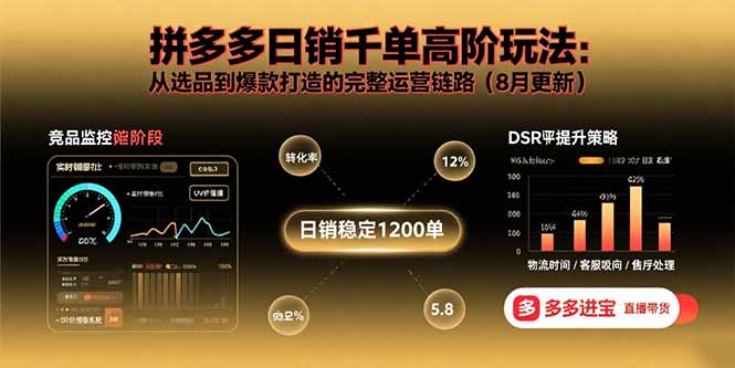 拼多多日销千单高阶玩法：从选品到爆款打造的完整运营链路(8月更新-日入300副业网