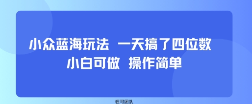 小众蓝海玩法 一天搞了四位数 小白可做 操作简单-日入300副业网