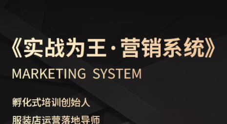 老杨·服装老板必修课《实战为王-营销系统》实现业绩被动式增长-日入300副业网