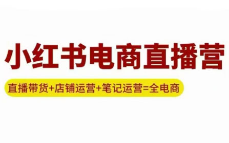 申铭老师·小红书电商直播营(更新)-日入300副业网