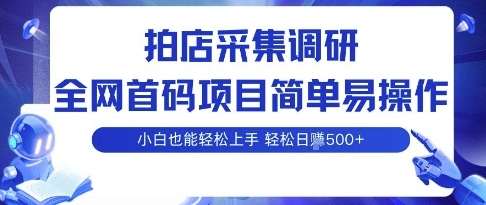 拍店采集调研，全网首码项目，简单易操作， 小白也能轻松上手，多账号操作，轻松日入5张【揭秘】-日入300副业网