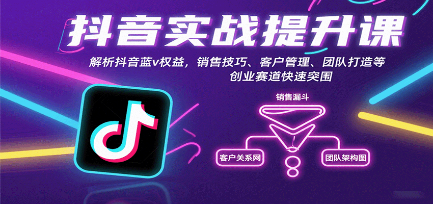 抖音实战提升课：解析抖音蓝v权益，销售技巧、客户管理、团队打造等创业赛道快速突围-日入300副业网