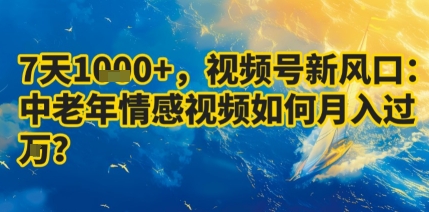 7天收益1k+，视频号新风口：中老年情感视频如何月入过W?-日入300副业网