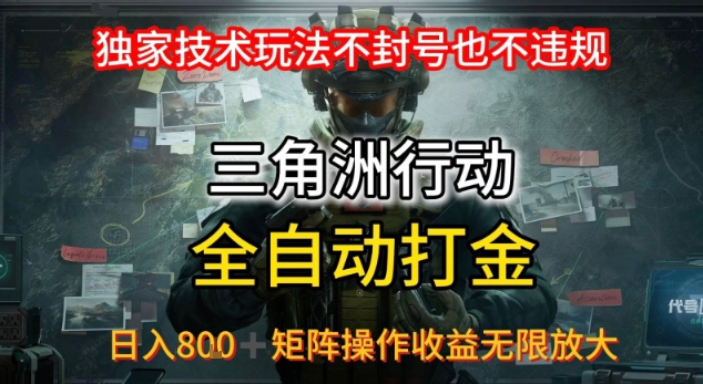 三角洲板砖揭秘项目免费送卡密-日入300副业网
