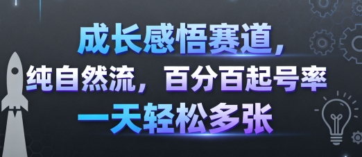 成长感悟赛道，纯自然流，百分百起号率 一天轻松多张-日入300副业网