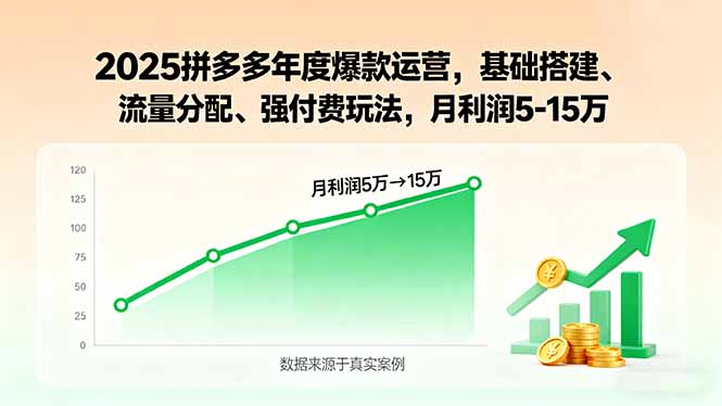 2025拼多多年度爆款运营，基础搭建、流量分配、强付费玩法，月利润5-15万-日入300副业网