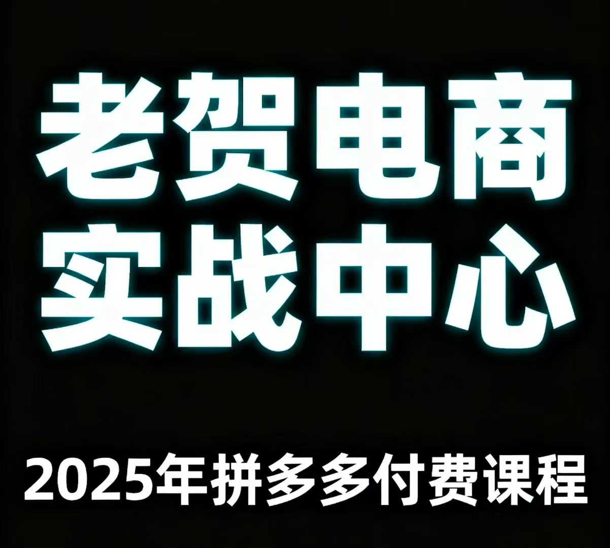 老贺电商2025年拼多多付费课程，用通俗易懂的方法告诉你多多怎么玩-日入300副业网