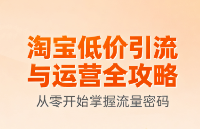 淘宝低价引流与运营全攻略(更新9月)-日入300副业网