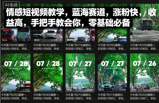 情感短视频教学，蓝海赛道，涨粉快，收益高，手把手教会你，零基础必备-日入300副业网
