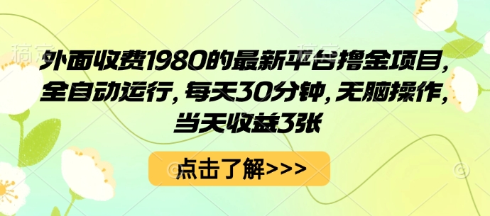 外面收费1980的最新平台撸金项目，全自动运行，每天30分钟，无脑操作，当天收益3张【揭秘】-日入300副业网