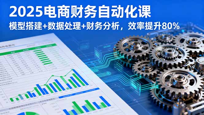 2025电商财务自动化课，模型搭建+数据处理+财务分析，效率提升80%-日入300副业网