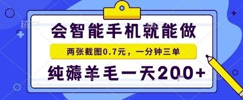 手机项目，二十秒一单，纯薅羊毛一天2张+做就有【揭秘】-日入300副业网
