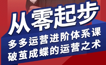 拼多多运营进阶系统课，从零起步，多多运营进阶体系课，破茧成蝶的运营之术(更新9月)-日入300副业网