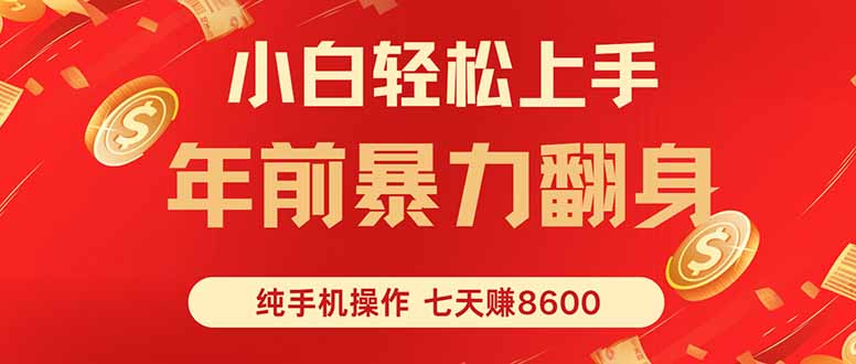 七天狂赚8600，小白纯手机操作，日入1000+-日入300副业网