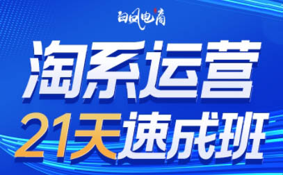 白凤电商·淘系运营21天速成班(更新9月)-日入300副业网