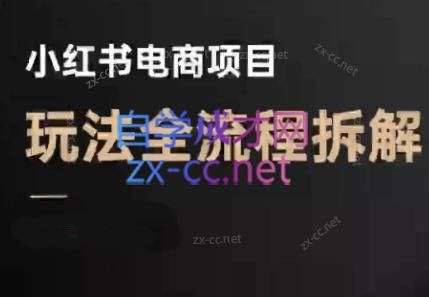 菲菲老师·小红书电商玩法(更新9月)-日入300副业网