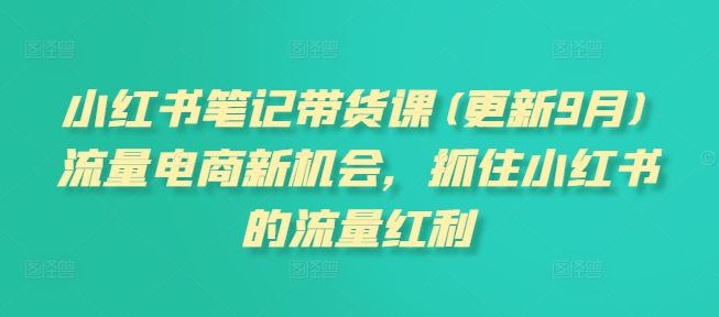 小红书笔记带货课(更新25年9月)流量电商新机会，抓住小红书的流量红利-日入300副业网
