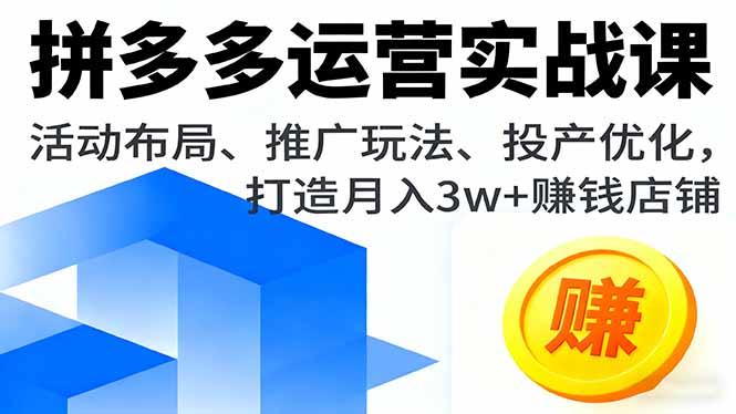 拼多多运营实战课，活动布局、推广玩法、投产优化，打造月入3w+赚钱店铺-日入300副业网