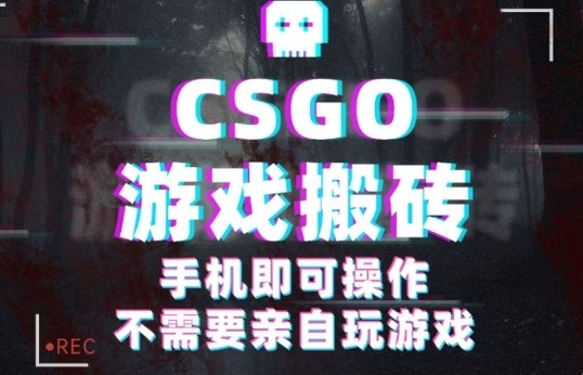 CSGO游戏挂G捡漏，单日扫货5张+，年底小高峰上车可吃肉，手机即可操作，兼职副业创业网创【揭秘】-日入300副业网