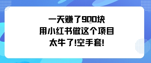 一天挣了9张用小红书做这个项目太牛了，空手套-日入300副业网