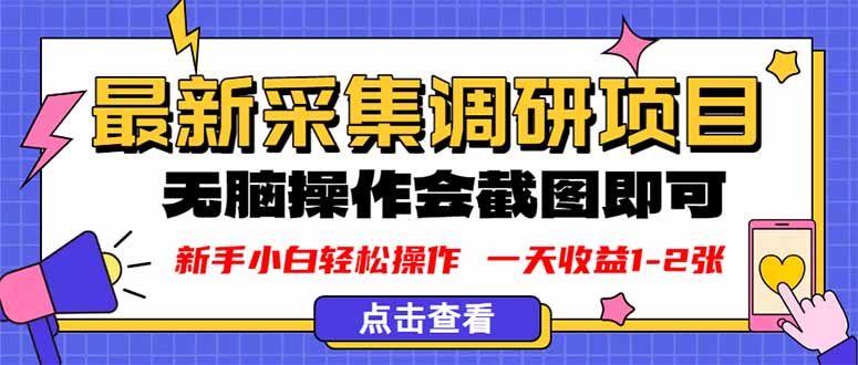 新版采集调研项目，截图上传即可，无脑操作，日收益1-2张-日入300副业网