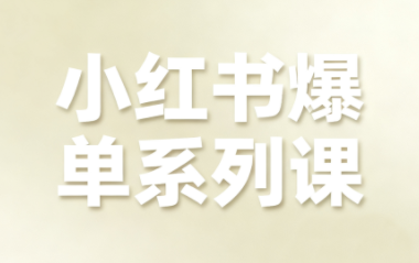 尼采老师·小红书爆单系列课-日入300副业网