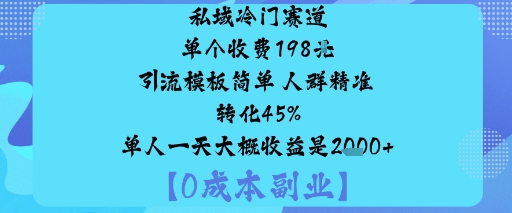 私域冷门赛道:单个收费198米引流模板简单人群精准转化45%单人一天大概收益是1k+-日入300副业网