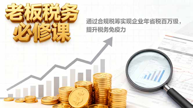 老板税务必修课，通过合规税筹实现企业年省税百万级，提升税务免疫力-日入300副业网