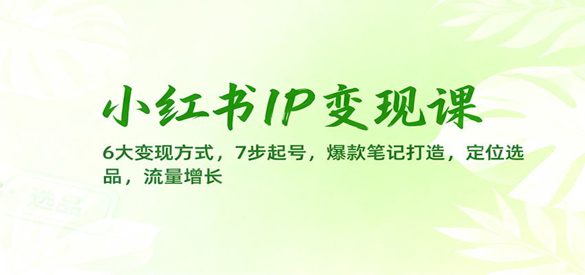 小红书IP变现课：6大变现方式，7步起号，爆款笔记打造，定位选品，流量增长-日入300副业网